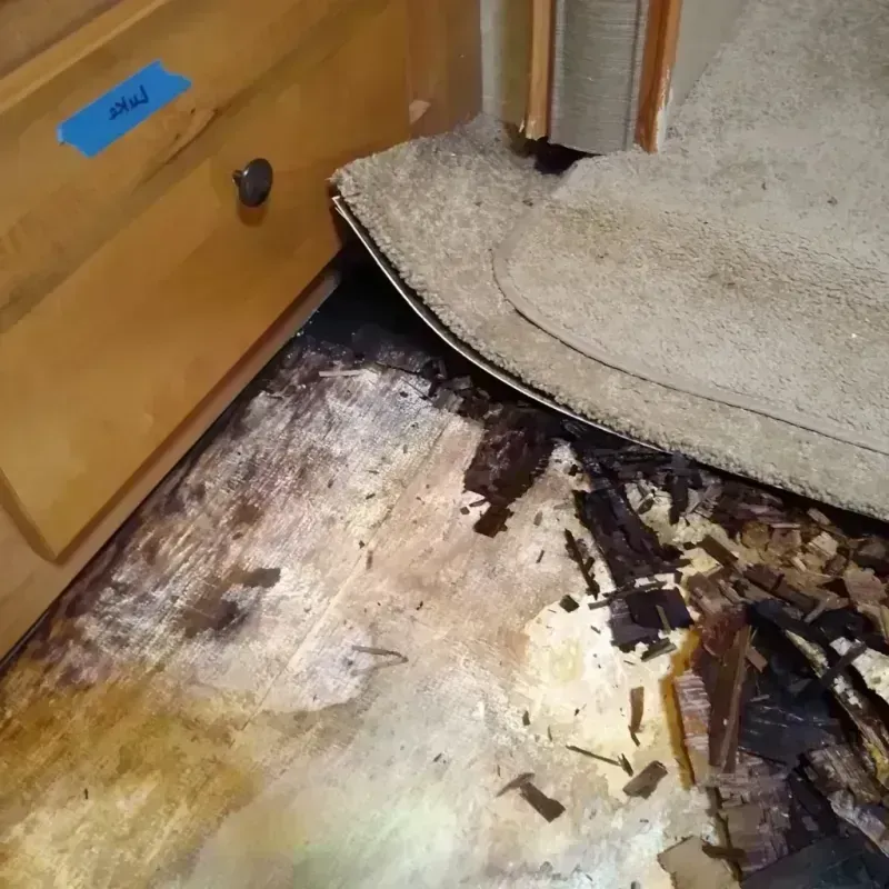 Wood Floor Water Damage in Bushnell, IL